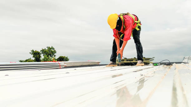 Best Roof Moss and Algae Removal  in Paintsville, KY